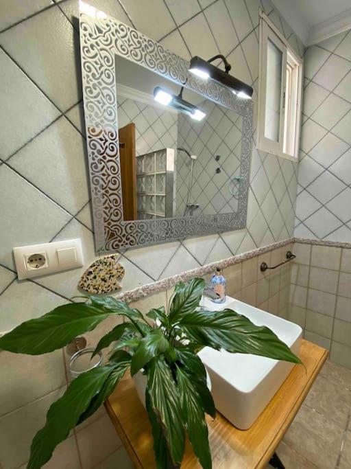 La Casa Del San Anton Villa Níjar Eksteriør billede