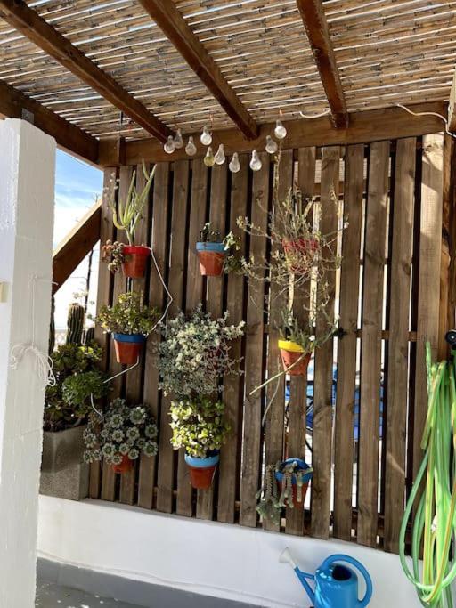 La Casa Del San Anton Villa Níjar Eksteriør billede